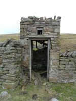 Superb netty with air vent